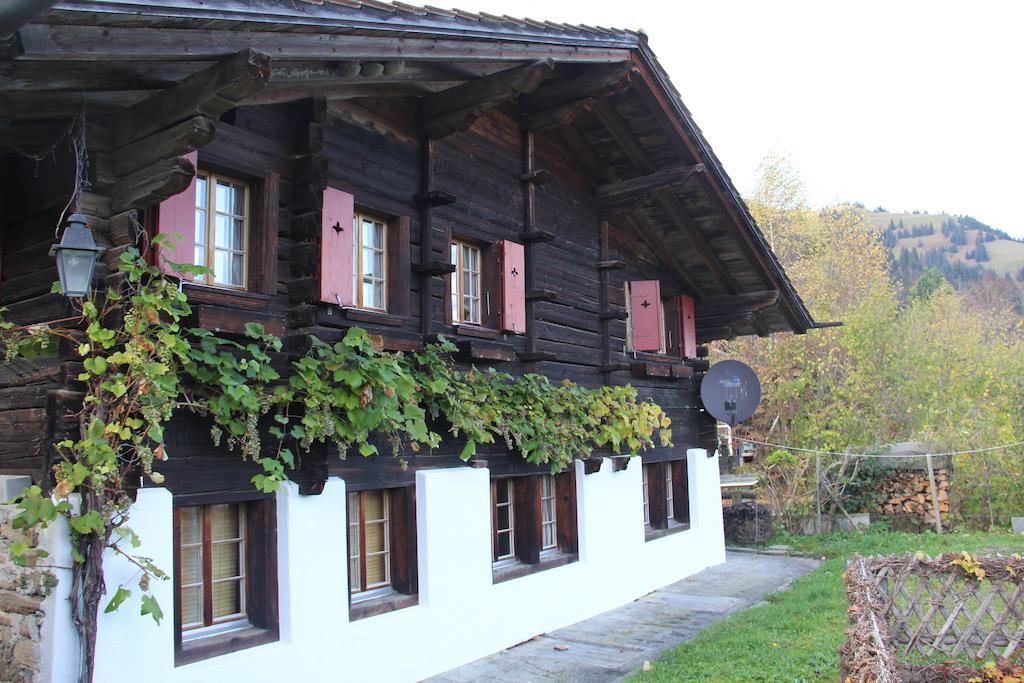 Chalet Bergwelt Frutigen Camera foto
